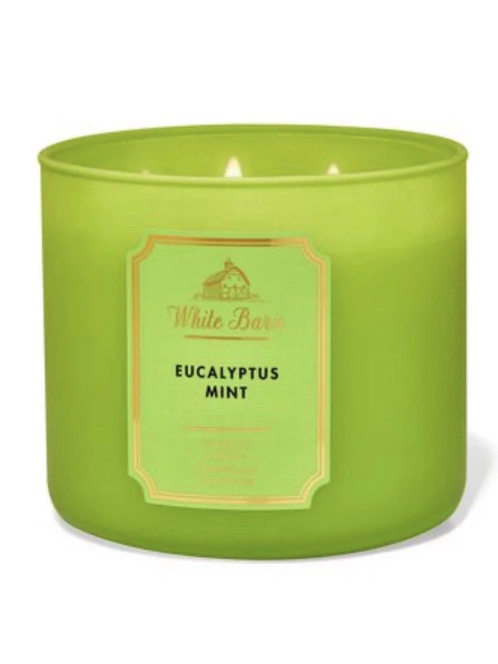 Bath & Body Works Eucalyptus Mint 3-Wick Candle - Lime Green